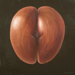 Coco de Mer, Maledivy, 2012 (akryl na plátně)